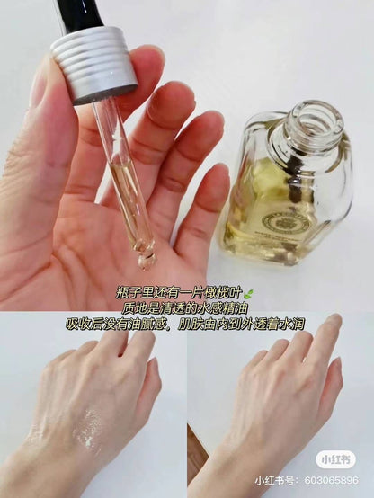 LA CHINATA 夜间精华 50ml